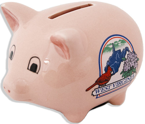Piggy Bank Pink West Virginia Dome
