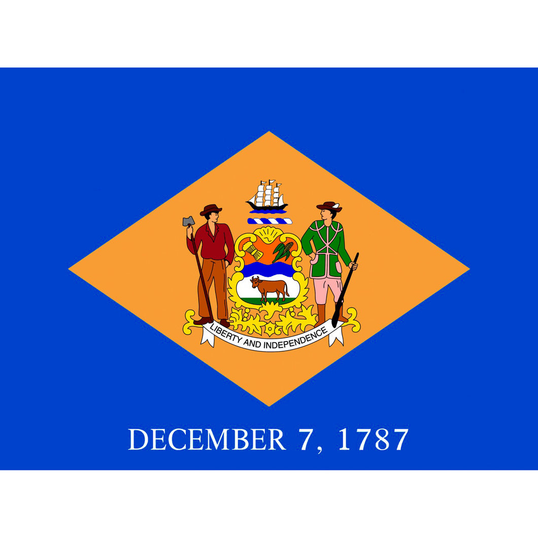 Flag 3 X 5 Large Delaware