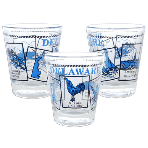 Shot Glass 5-Scenes Delaware