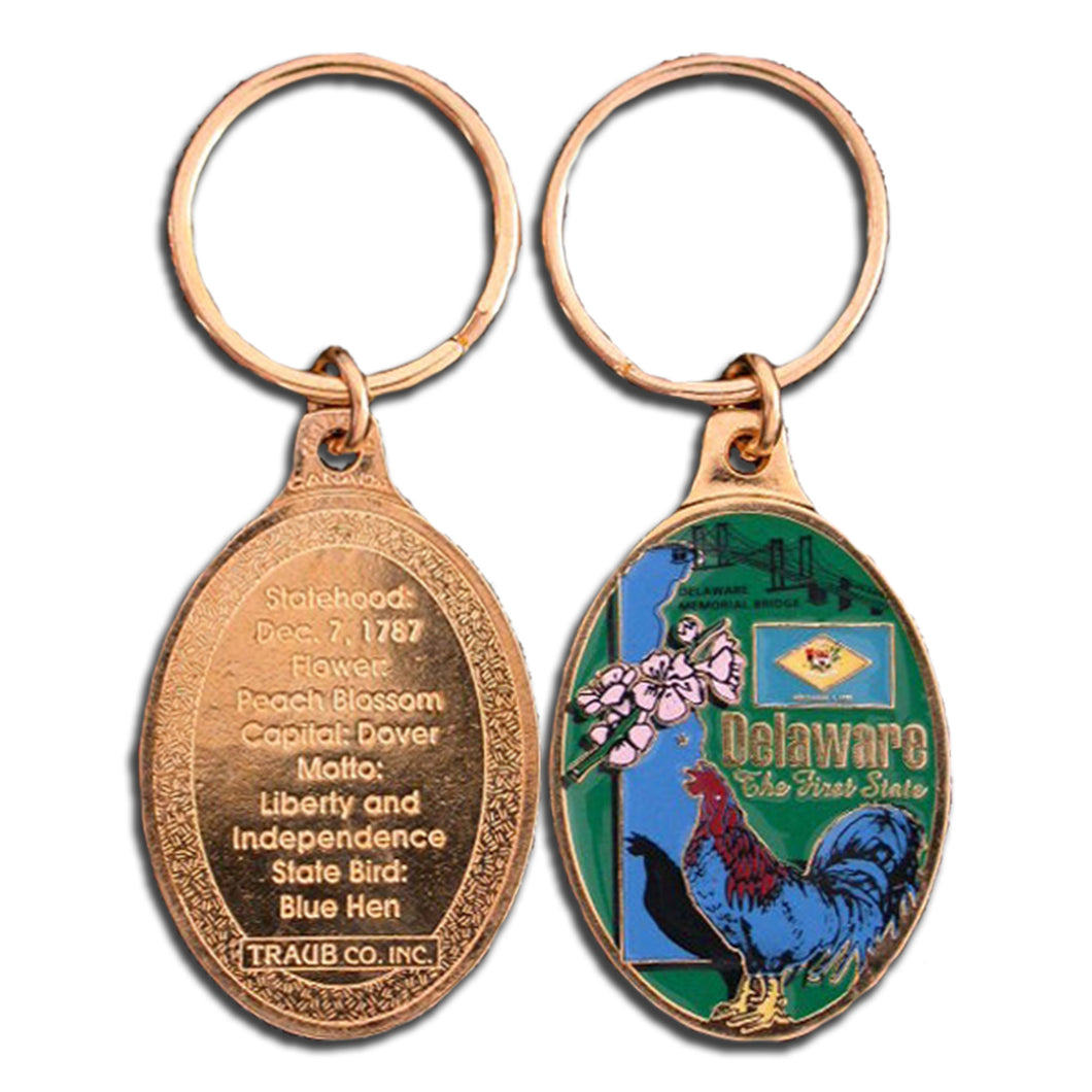 Key Ring Color-Filled Delaware
