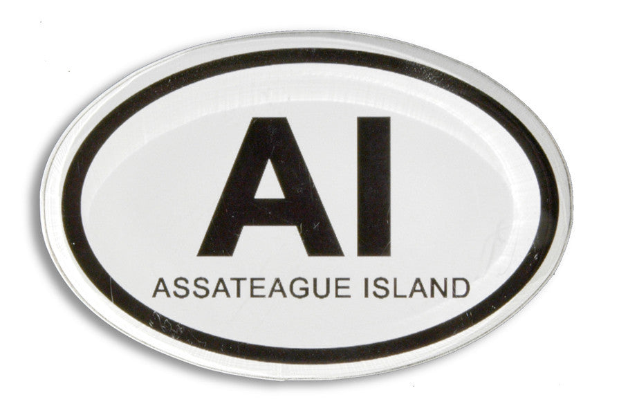 Magnet Thick Lucite Assateague Euro Oval