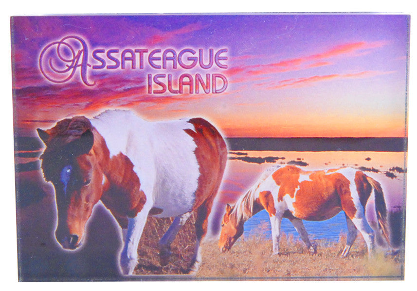 Magnet Thick Lucite Assateague Ponies Sunset