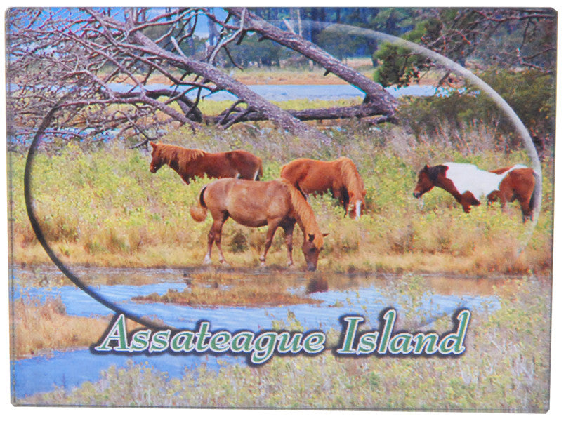 Magnet Thick Lucite 4 Pony Oval Assateague Island