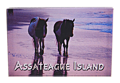 Magnet Thick Lucite 2 Ponies Assateague Island