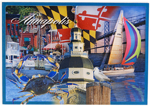 Magnet Plexi Dual Level Annapolis Photos