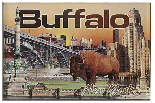 Magnet Thick Lucite Buffalo Montage