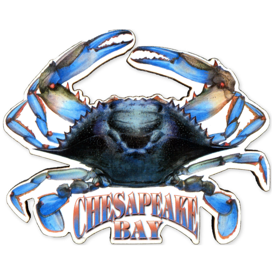 Magnet Large Artwood Chesapeake Bay Blue Crab