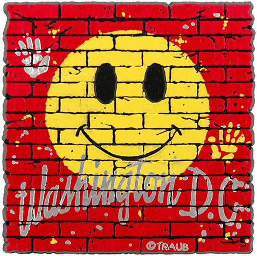 Rubber Magnet Large Washington DC Smile