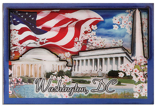 Magnet Dual Epoxy Washington DC with Cherry Blossoms