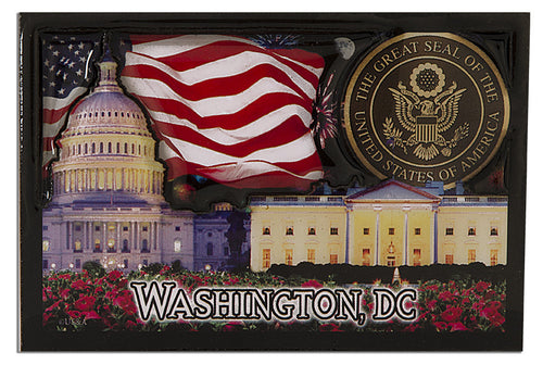 Magnet Dual Level Epoxy  DC at Night with Great Seal