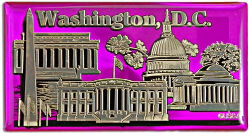 Magnet Hot Pink Foil Washington DC