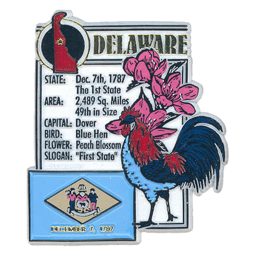 Rubber Magnet Large Delaware History