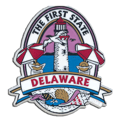 Rubber Magnet Large Delaware Oval