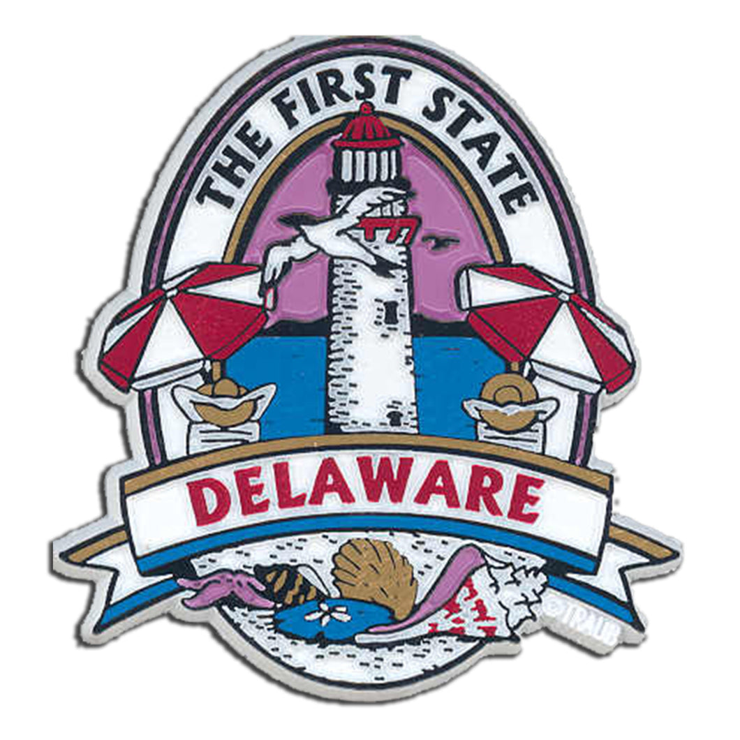 Rubber Magnet Large Delaware Oval