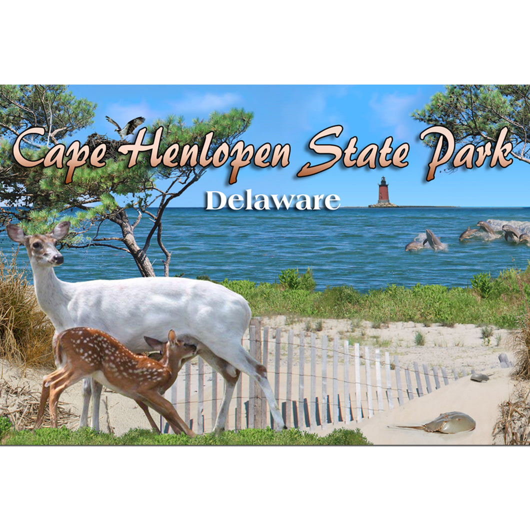 Magnet Photo Delaware Cape Henlopen Montage