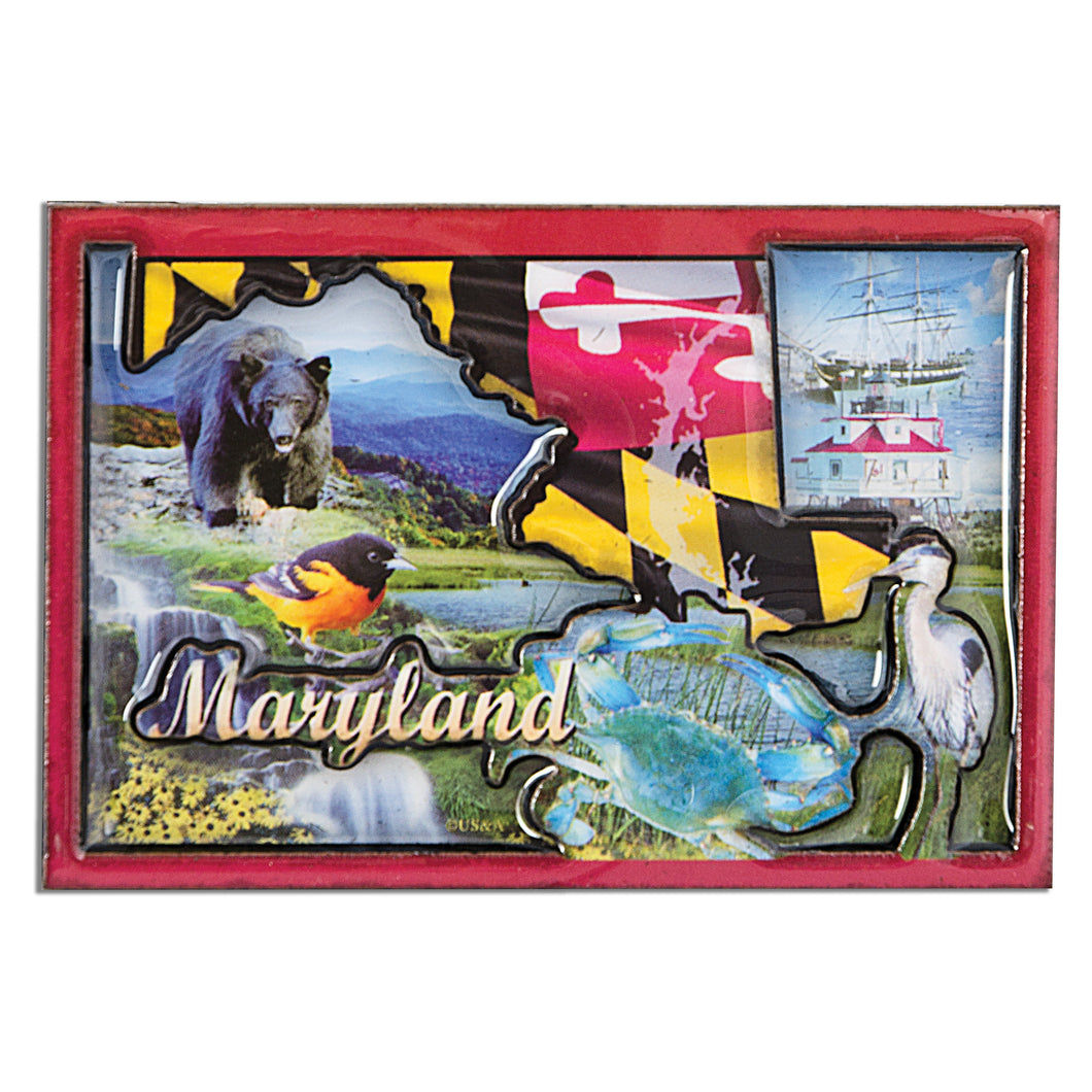 Magnet Epoxy Dual Level Maryland Photos