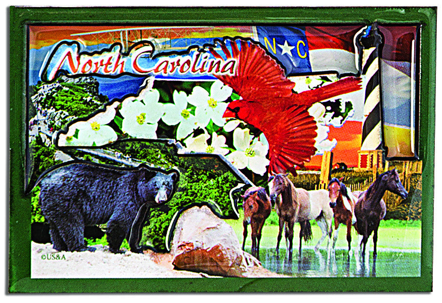 Magnet Epoxy Dual Level North Carolina Photos