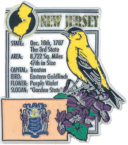 Rubber Magnet Large New Jersey History