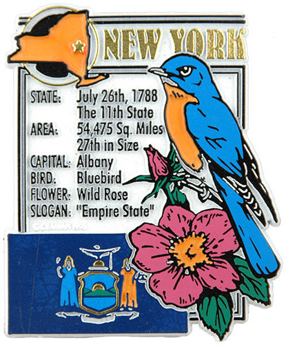 Rubber Magnet Large New York History