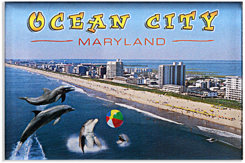 Magnet Thick Lucite Ocean City Dolphins
