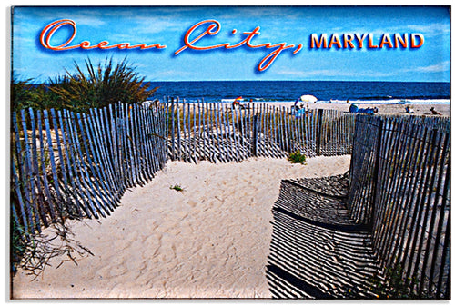 Magnet Thick Lucite Ocean City Dunes