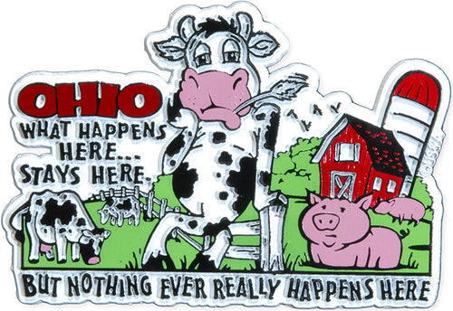 Rubber Magnet Large Ohio What Happens Here