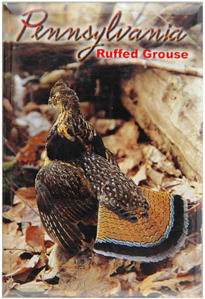 Magnet Photo Pennsylvania Ruffed Grouse