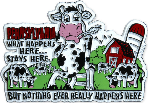 Rubber Magnet Large PA What Happens Here