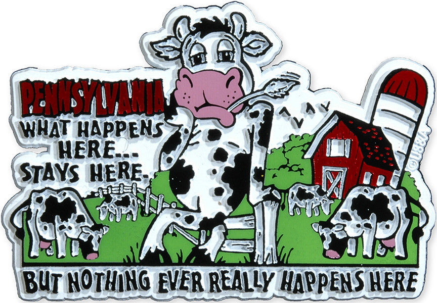 Rubber Magnet Large PA What Happens Here