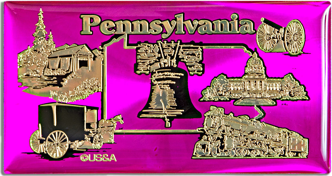 Magnet Hot Pink Foil Pennsylvania