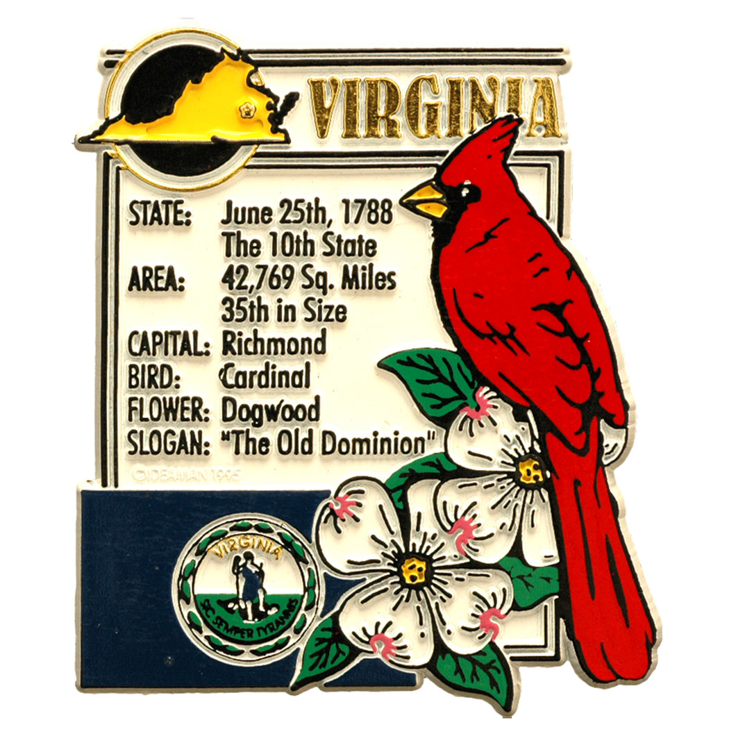 Rubber Magnet Large Virginia History