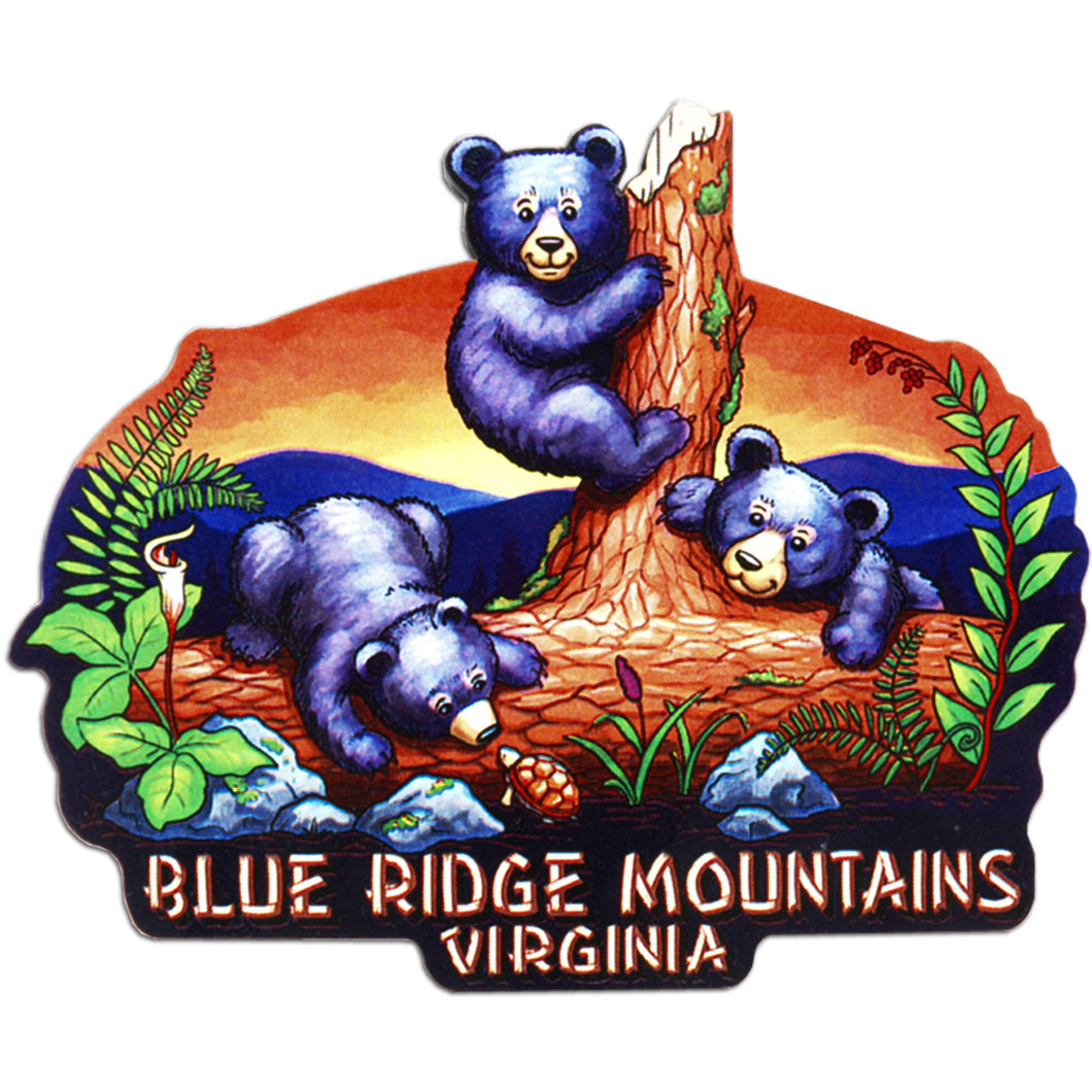 Magnet Large Artwood VA Blue Ridge Bear Cubs