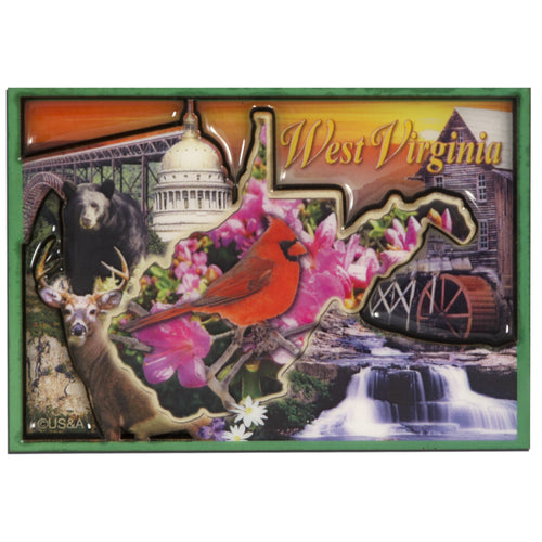 Magnet Plexi Dual Level WV Photo Montage