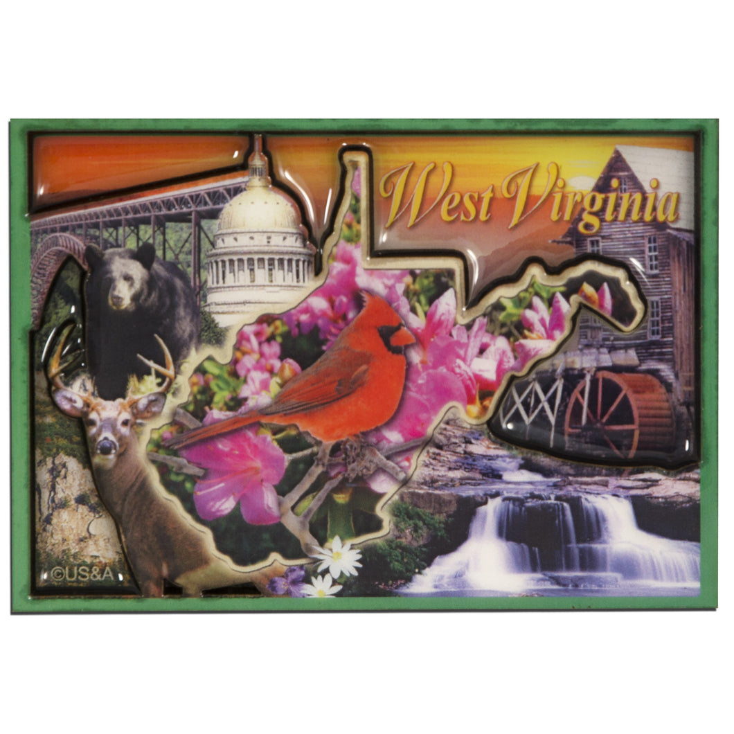Magnet Plexi Dual Level WV Photo Montage