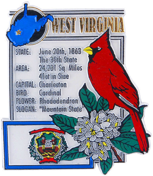 Rubber Magnet Large West Va History