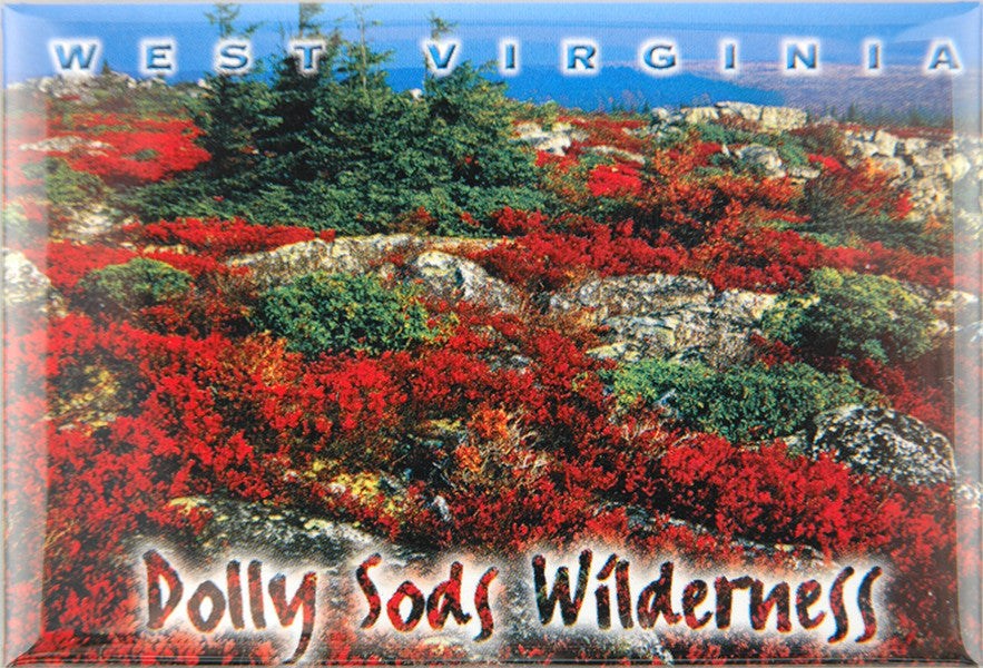 Magnet Photo WV Dolly Sods Wilderness