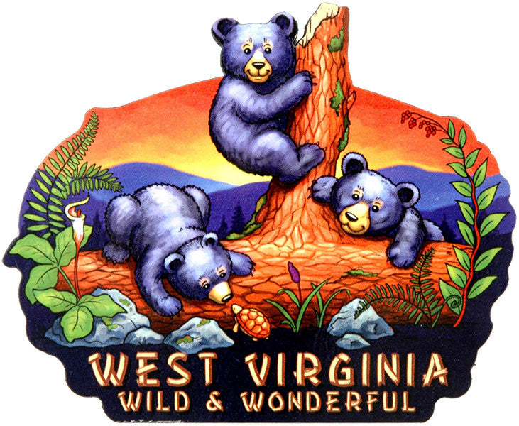 Magnet Large Artwood West Virginia Bear Cubs