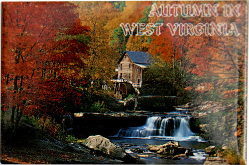 Magnet Photo Autumn in WV