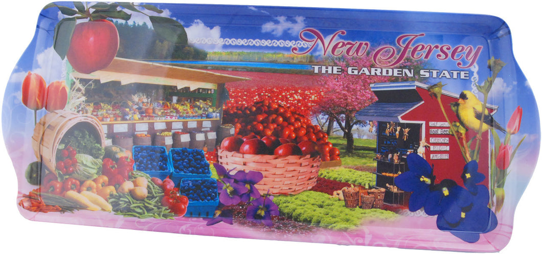 Melamine Snack Tray Large NJ The Garden State