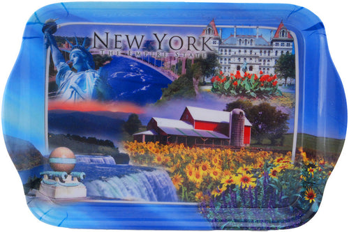 Melamine Snack Tray Small New York State Photos