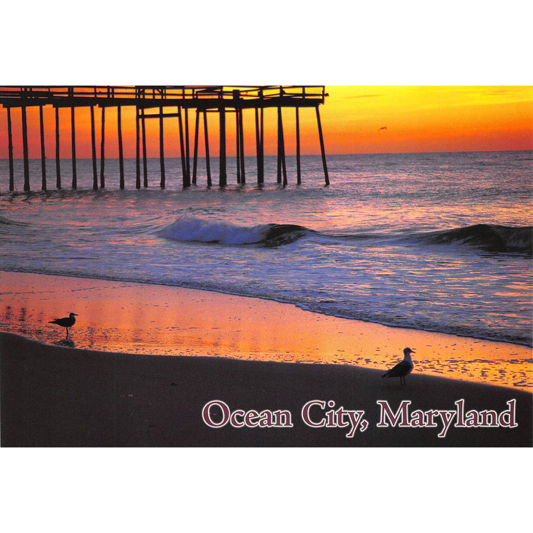 PCOC008 Postcards- 4X6