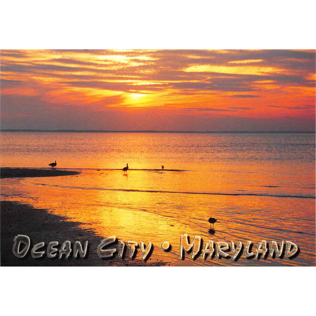 PCOC109 Postcards- 4X6