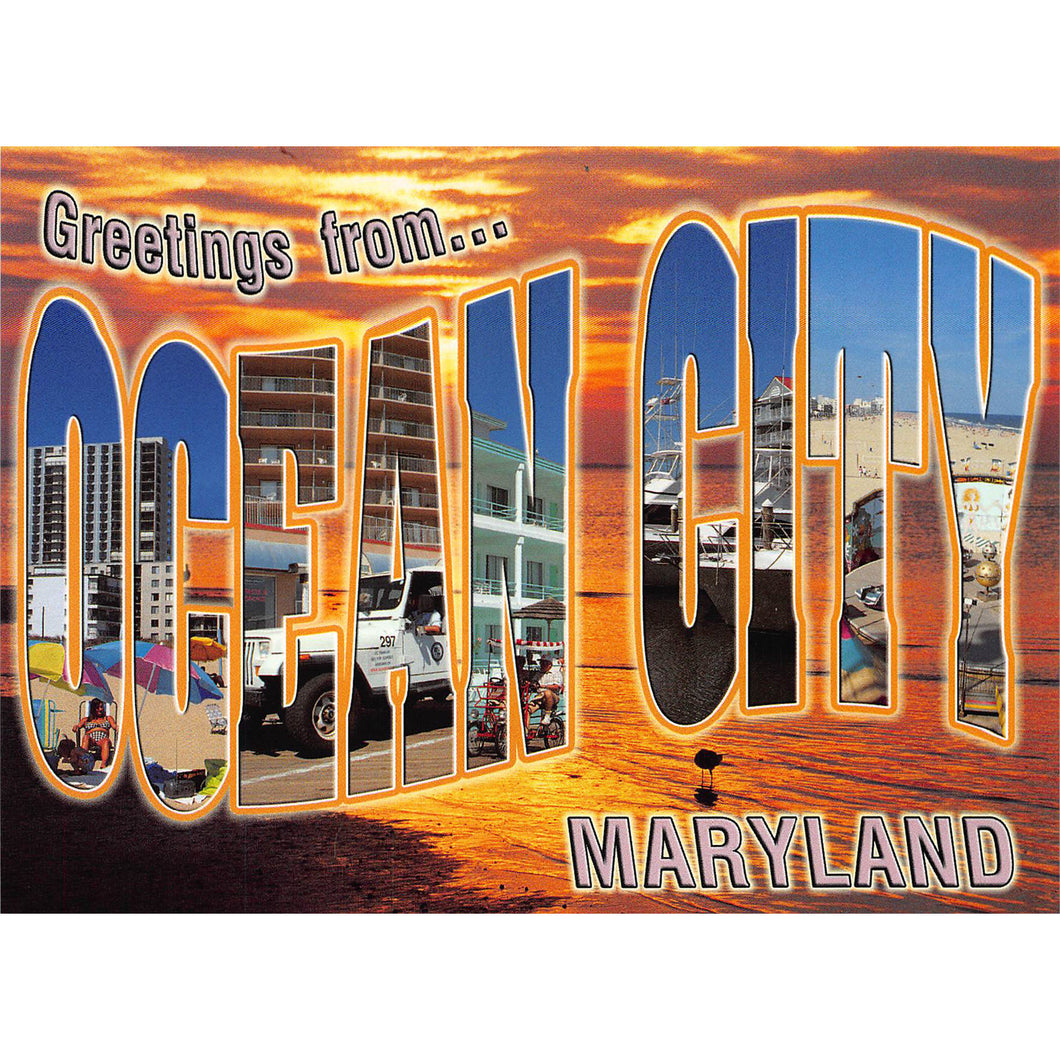 PCOC113 Postcards- 4X6