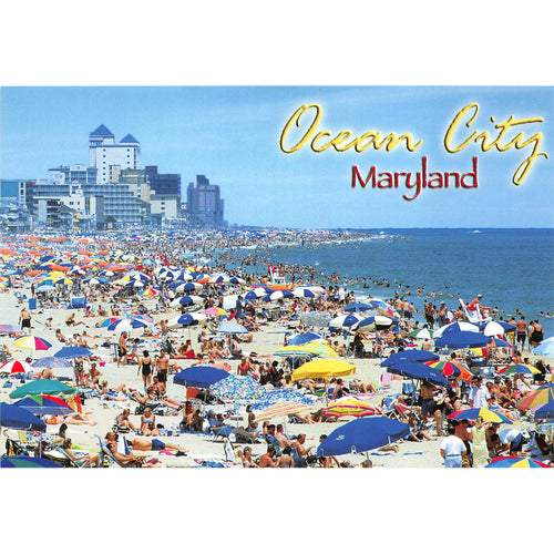 PCOC115 Postcards- 4X6