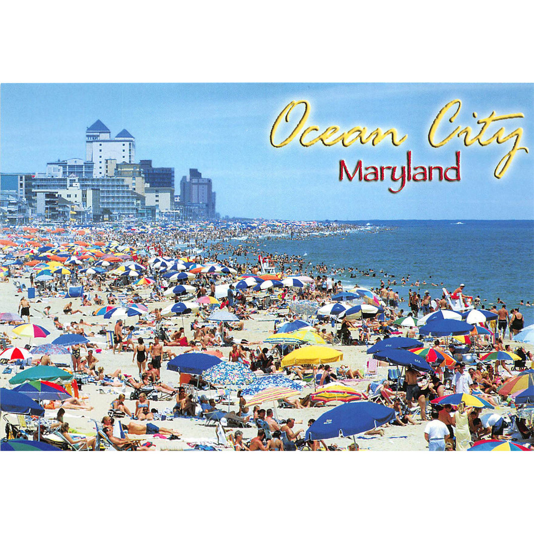 PCOC115 Postcards- 4X6