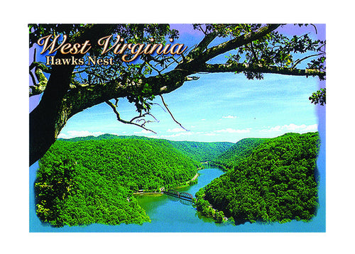 Set 50 Postcards - 4X6