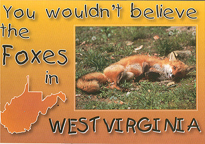 Set 50 Postcards - 4X6