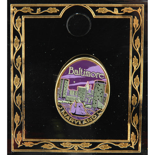 Pin Color Fill Oval Baltimore Night