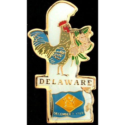 Pin Brass Enamel Delaware