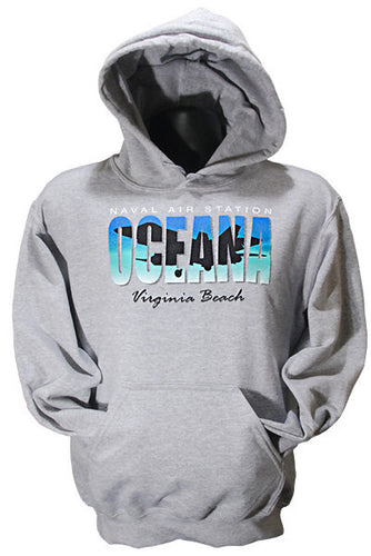 HOODED SWEATSHIRT NAS Oceana Virginia Beach Grey